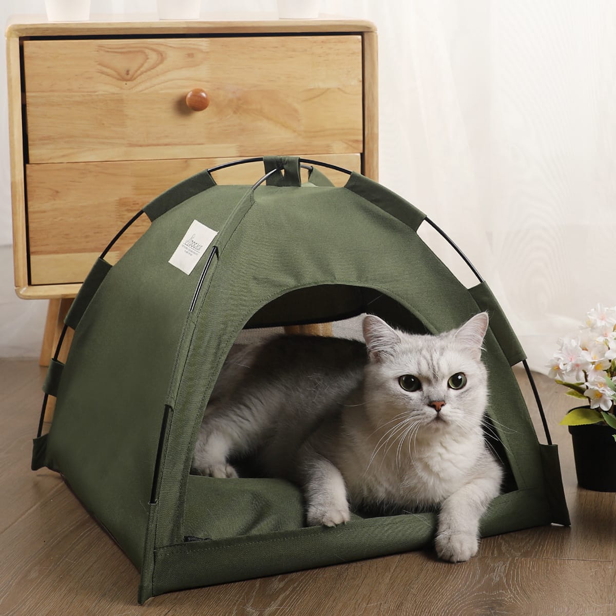 Pet tent bed